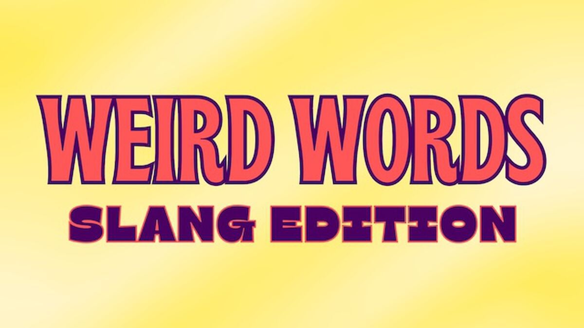 Weird Words Slang Edition image number null